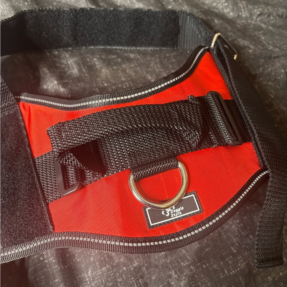 Red and Black Belt Bag by
